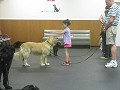 Applewoods Dog Training, LLC